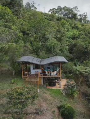 Luna Nueva Eco